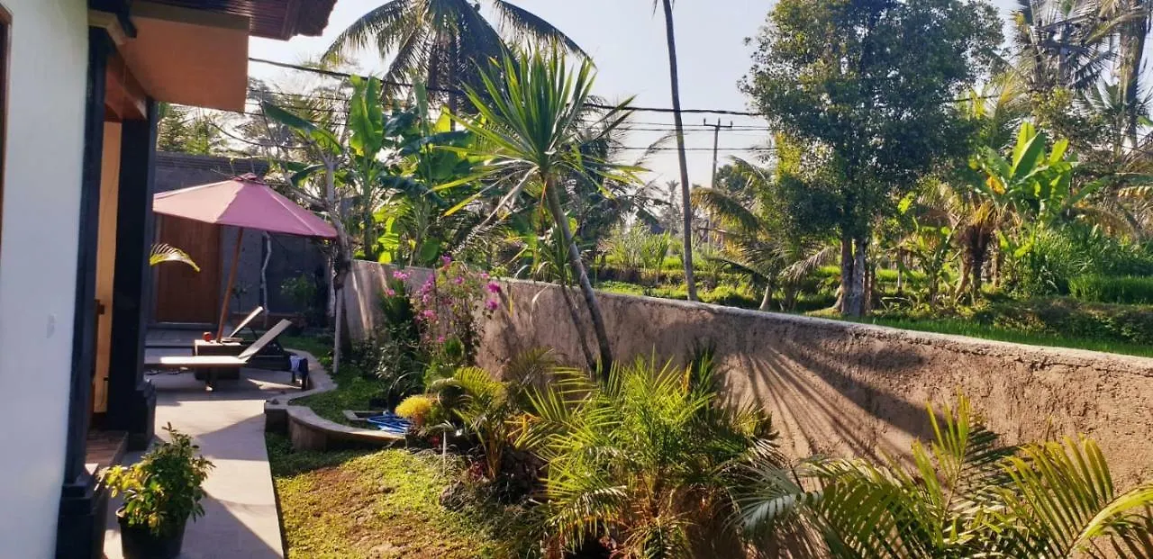 Ano Villa Ubud  Indonesia